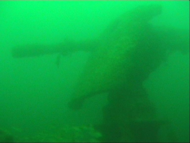 Discovery of wrecks with the CSSMD.JPG 